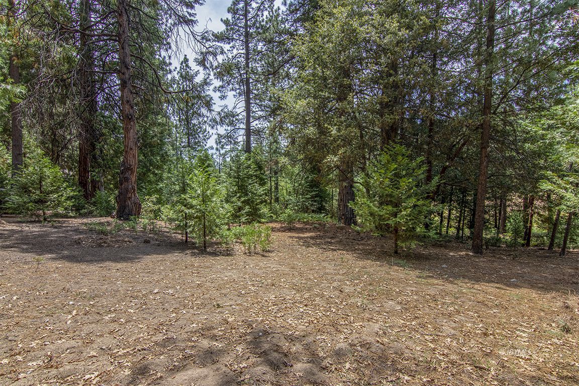 Foster Lake Road Idyllwild, CA 92549 - Photo 14 of 14 Untitled