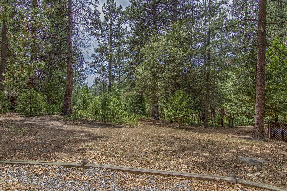 Foster Lake Road Idyllwild, CA 92549 - Photo 4 of 14 Untitled