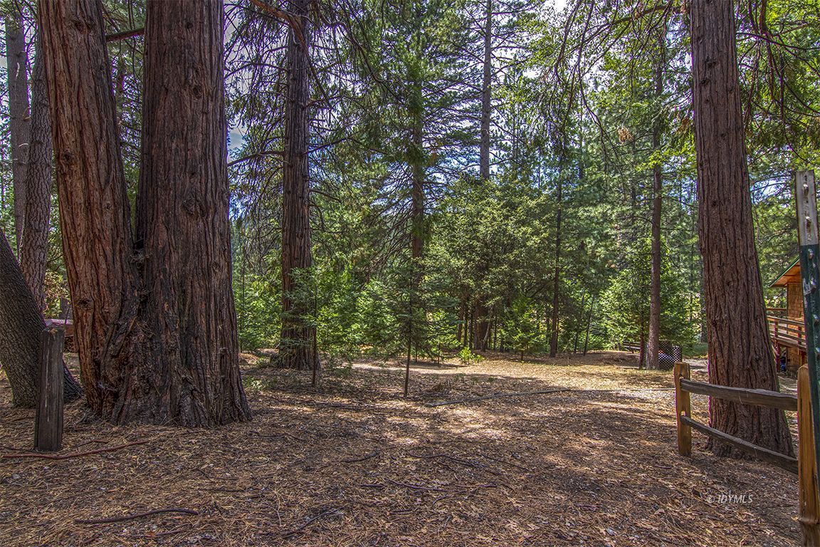 Foster Lake Road Idyllwild, CA 92549 - Photo 5 of 14 Untitled