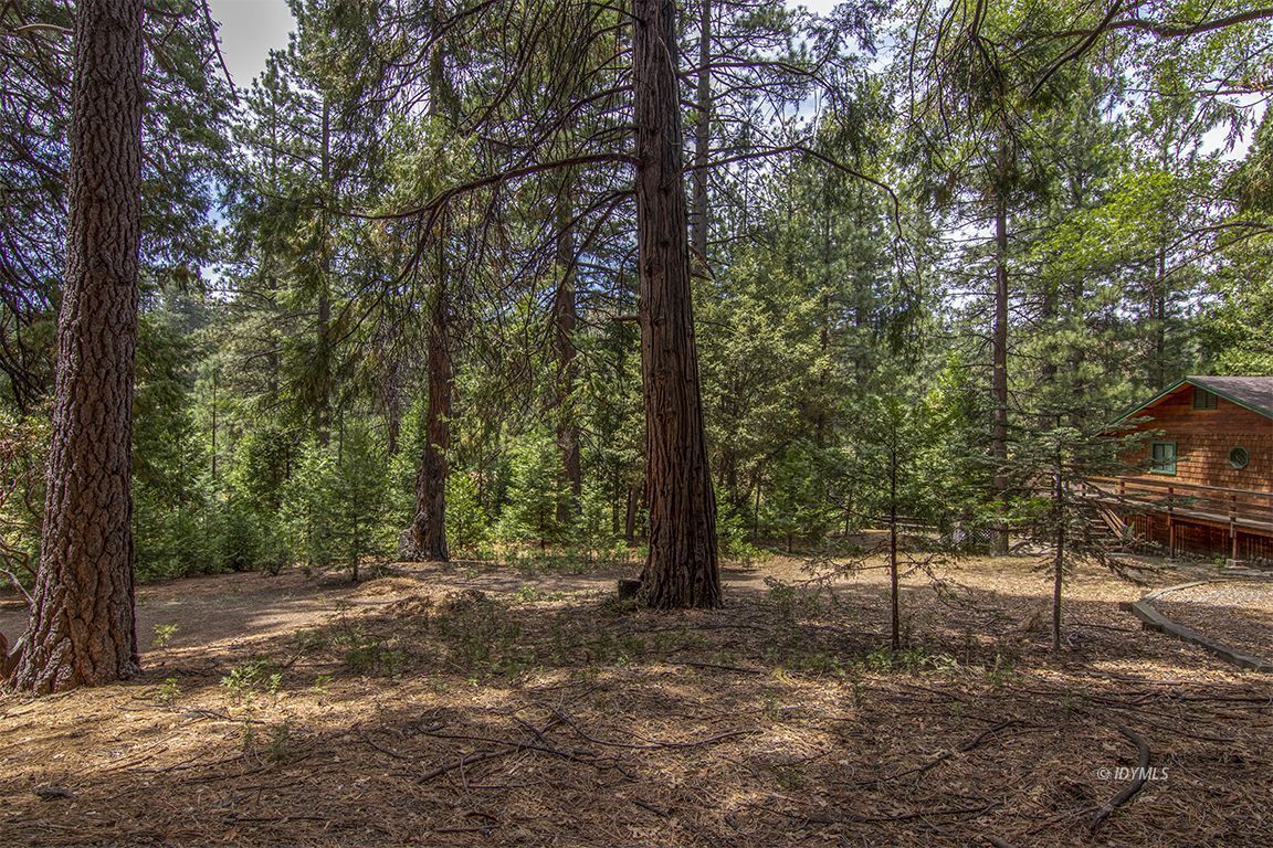 Foster Lake Road Idyllwild, CA 92549 - Photo 6 of 14 Untitled
