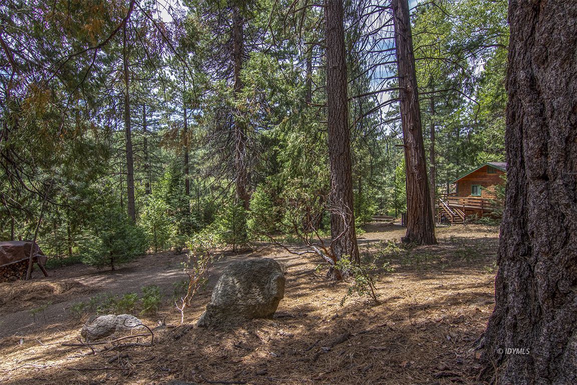 Foster Lake Road Idyllwild, CA 92549 - Photo 7 of 14 Untitled