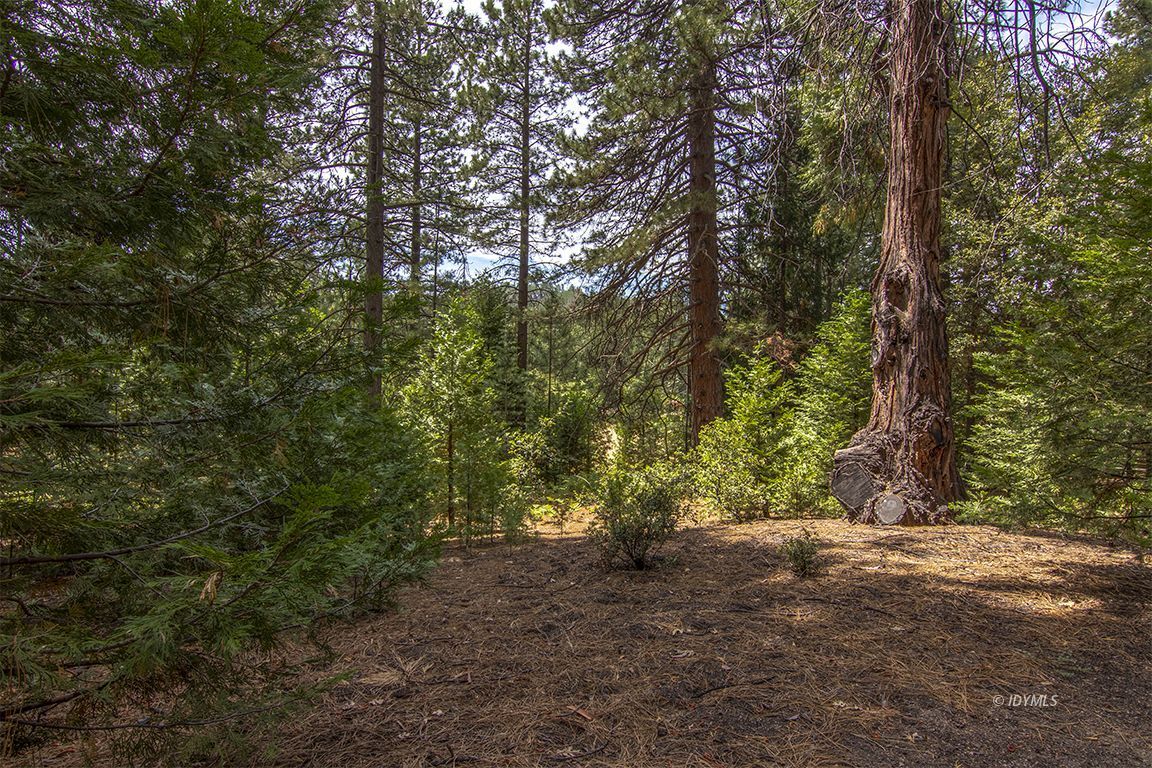 Foster Lake Road Idyllwild, CA 92549 - Photo 9 of 14 Untitled