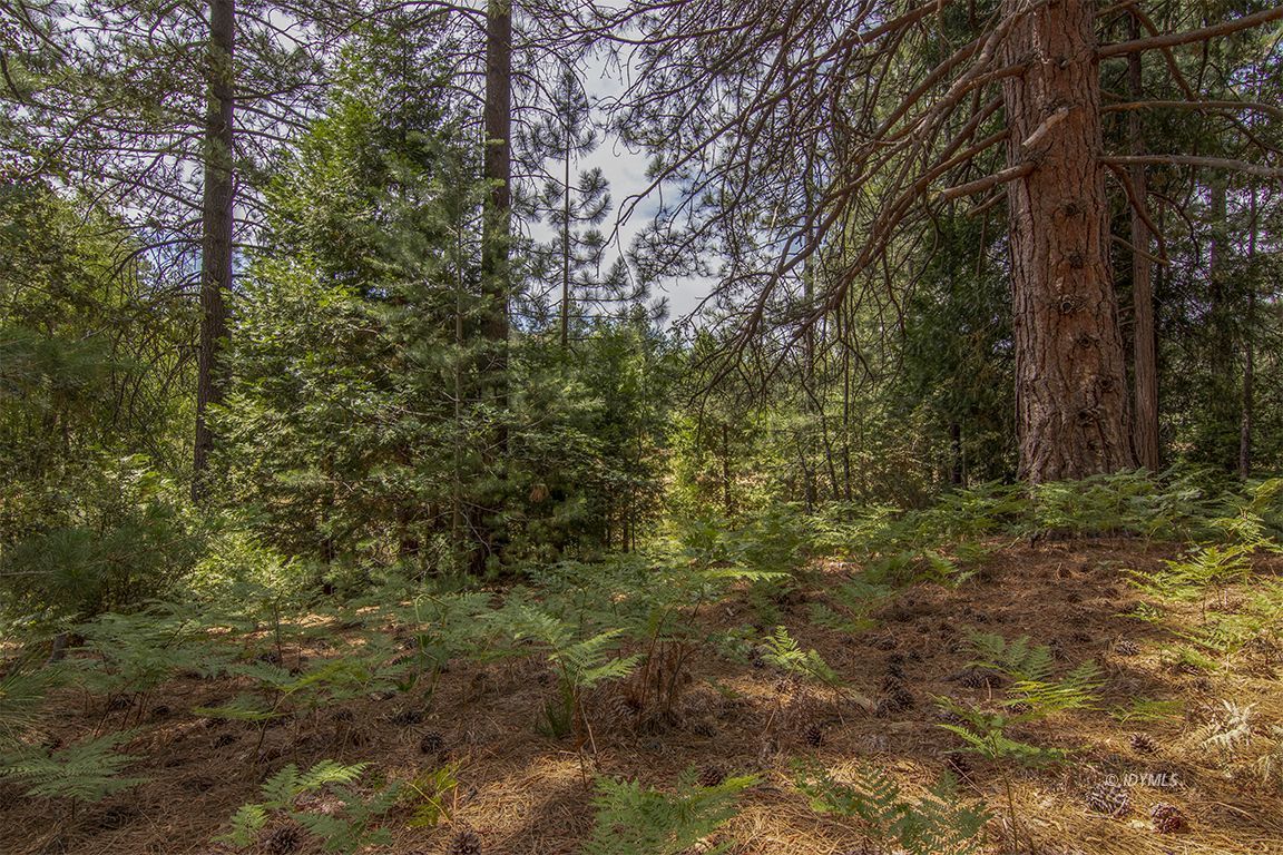 Foster Lake Road Idyllwild, CA 92549 - Photo 10 of 14 Untitled