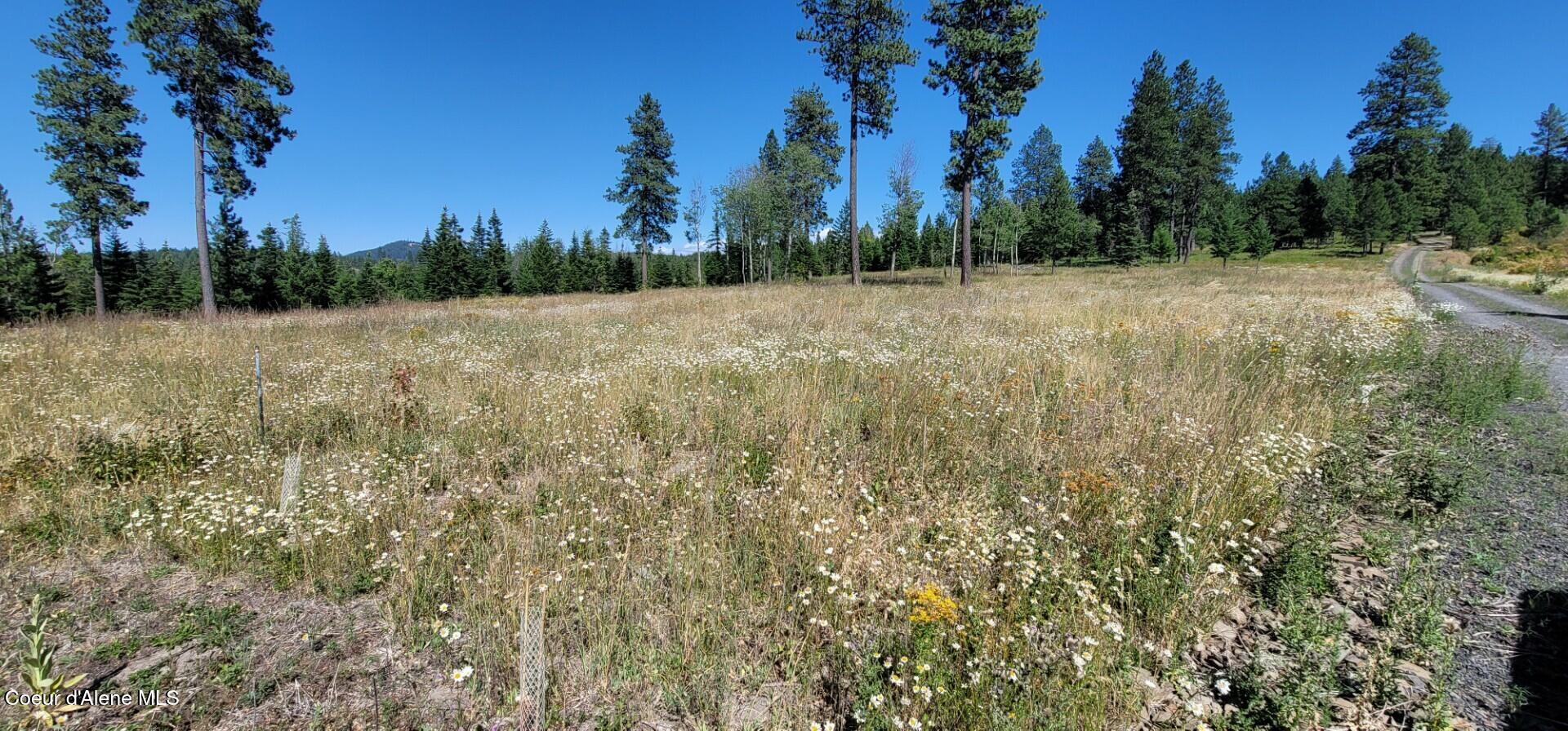Nka Nka Ranch Road Plummer, ID 83851 - Photo 2 of 13 Ranch Road Lot 6