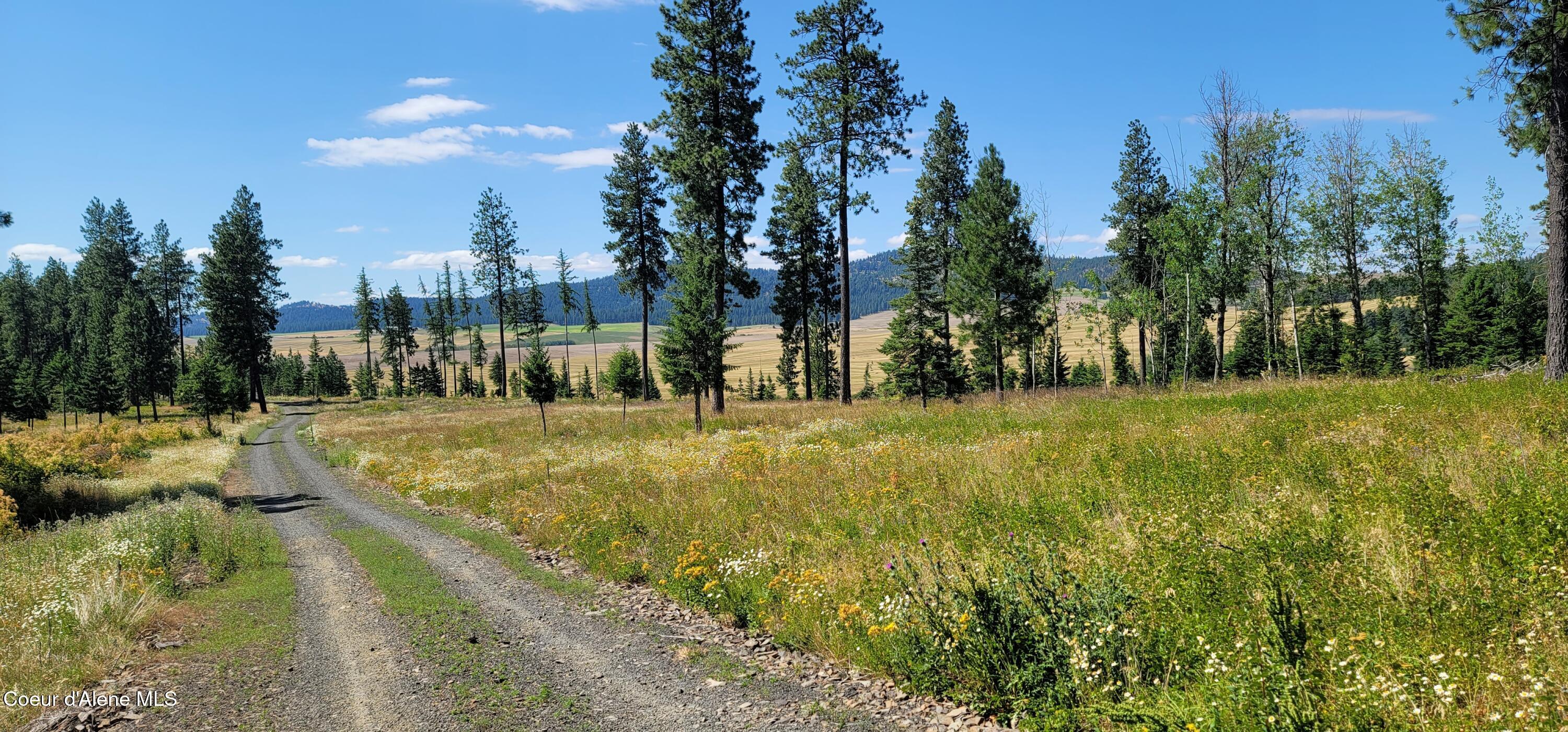 Nka Nka Ranch Road Plummer, ID 83851 - Photo 5 of 13 1000011792 (1)