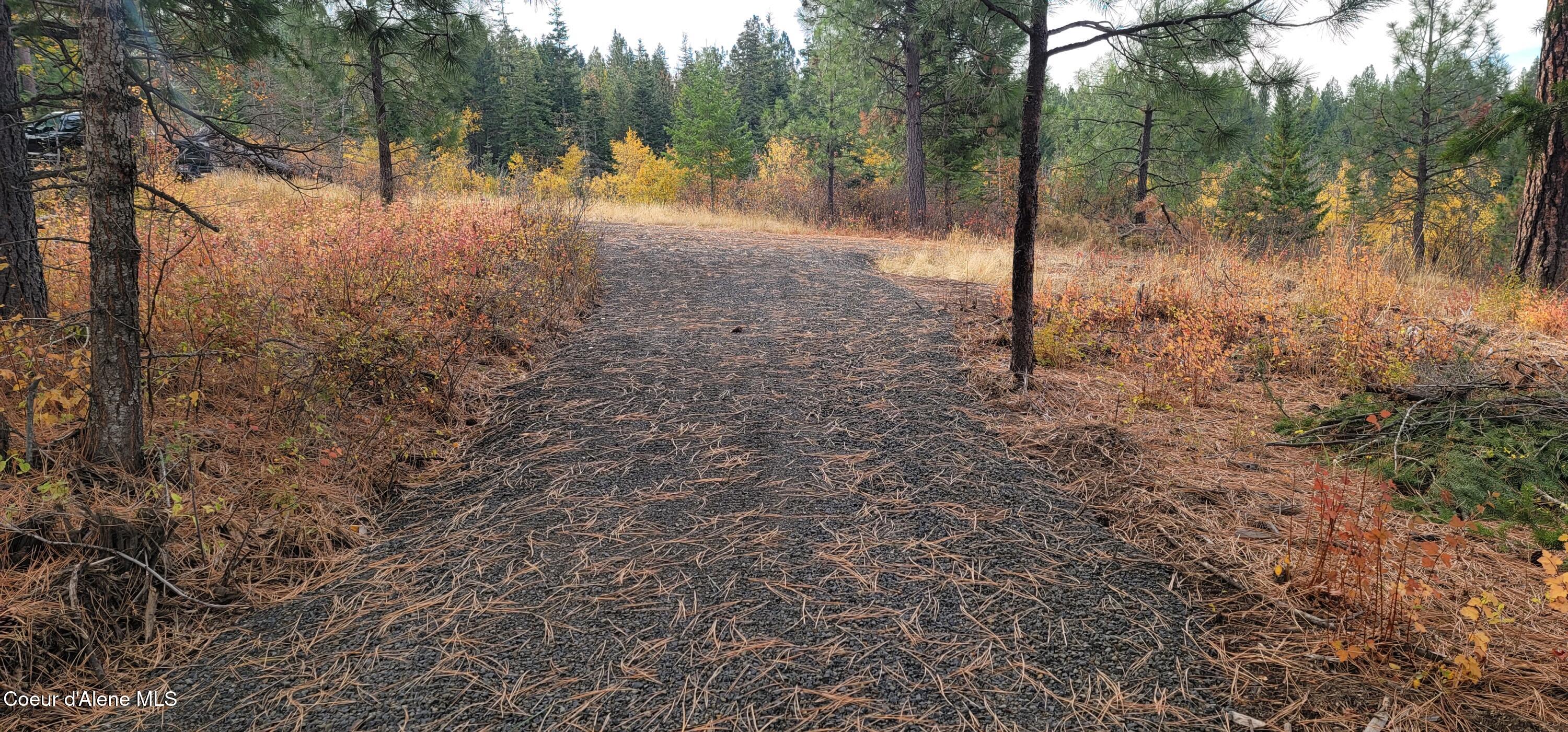 Nka Nka Ranch Road Plummer, ID 83851 - Photo 10 of 13 R.V. Driveway