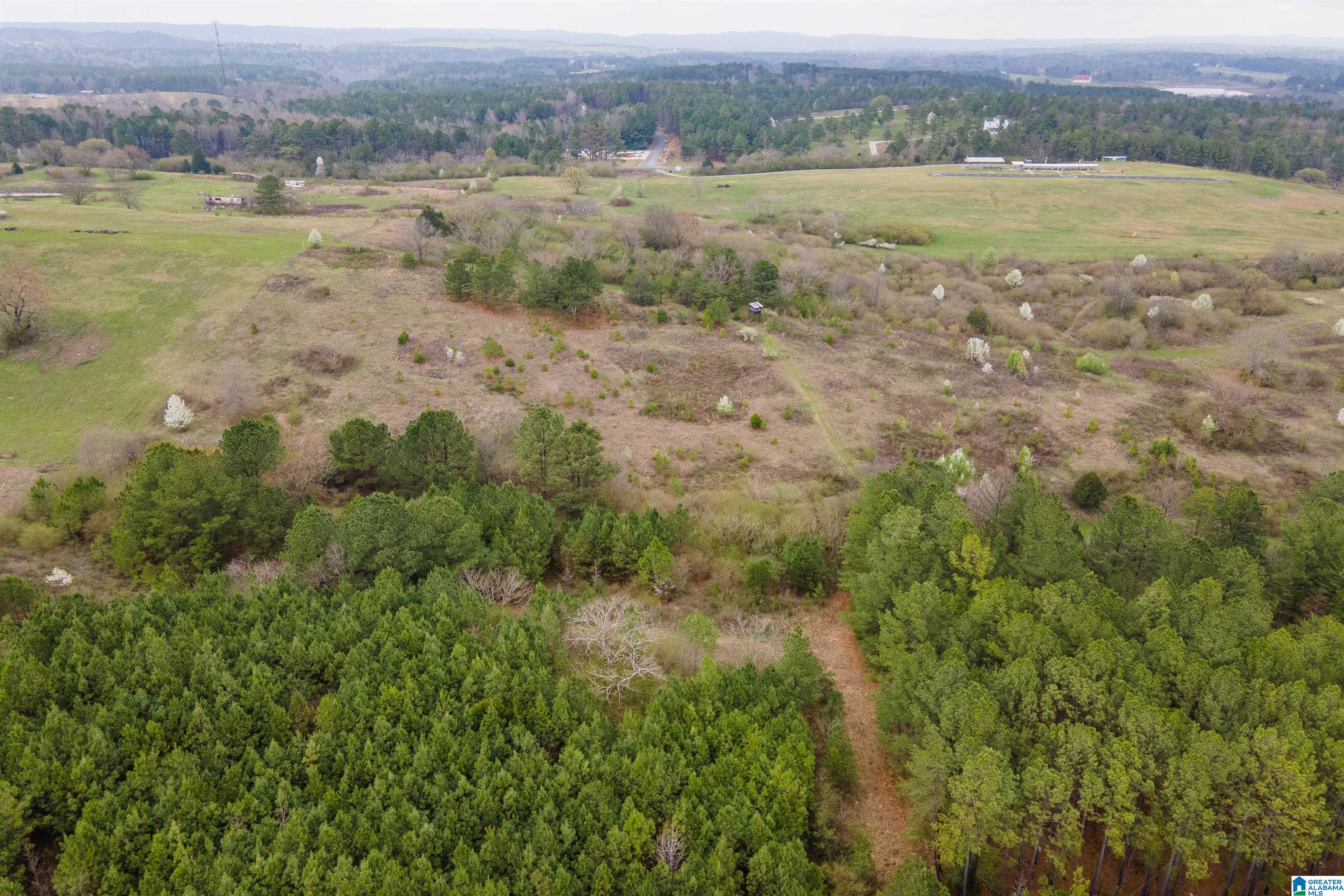 700 Sardis Road Gardendale, AL 35071 - Photo 6 of 16