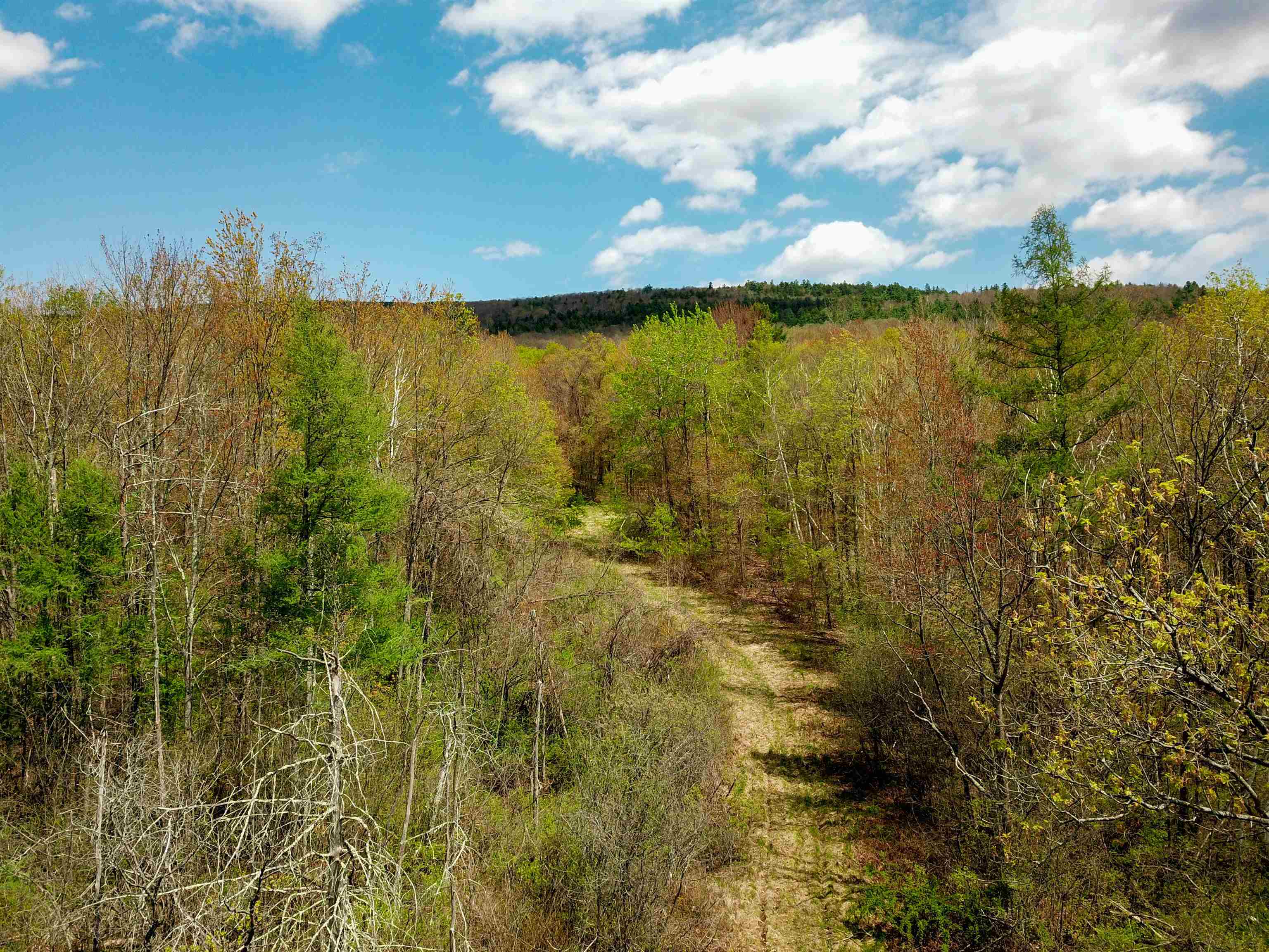 1073 Chapel Road Bennington, VT 05201 - Photo 4 of 53