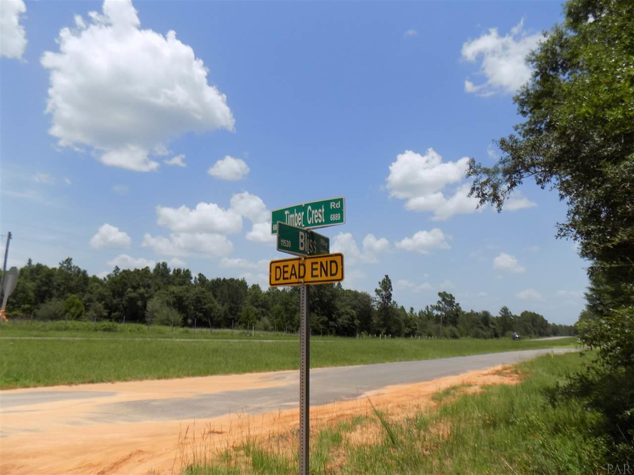 6811 Timber Crest Road Milton, FL 32583 - Photo 1 of 15 Gallery Image 1