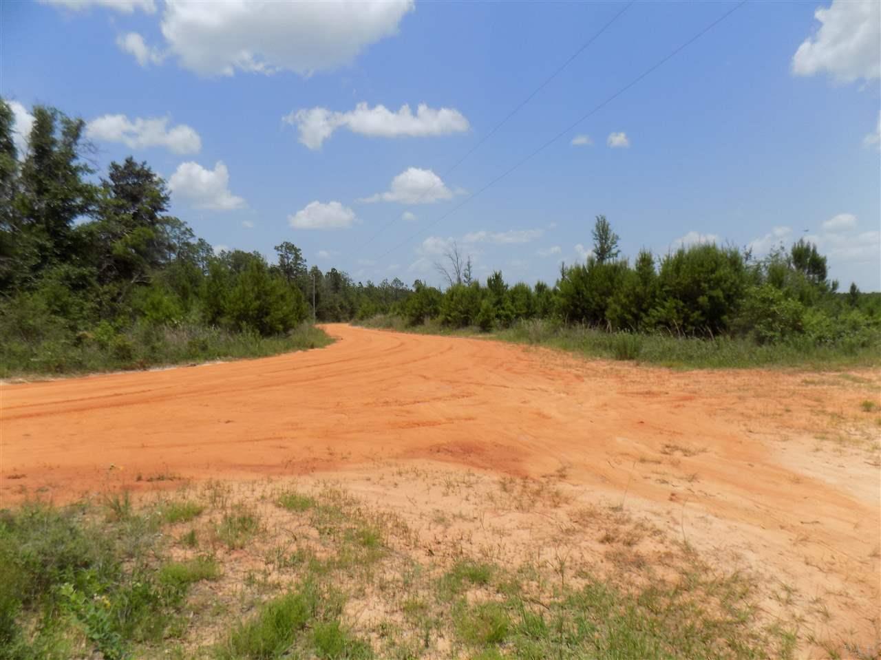 6811 Timber Crest Road Milton, FL 32583 - Photo 11 of 15 Gallery Image 11