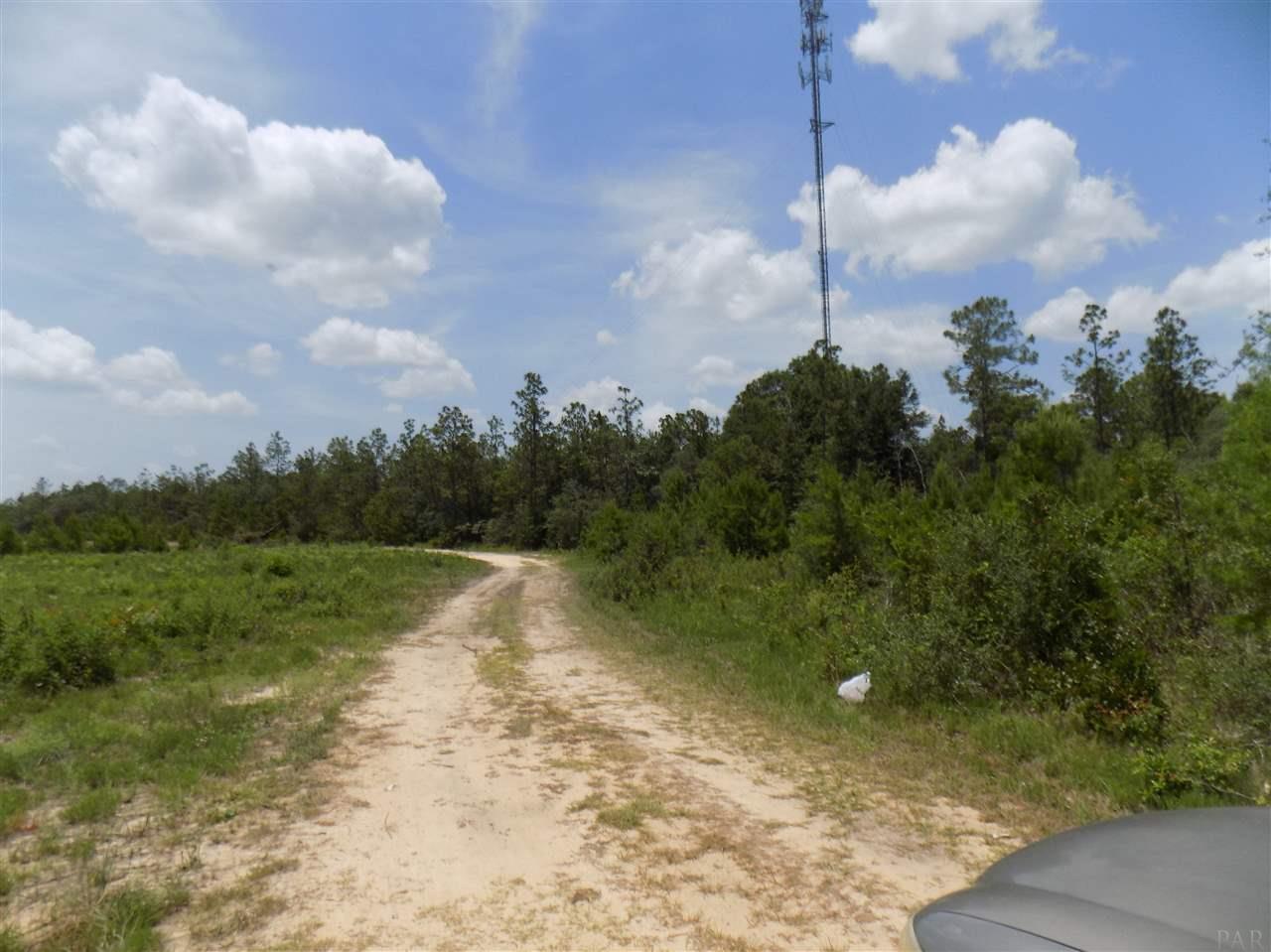 6811 Timber Crest Road Milton, FL 32583 - Photo 7 of 15 Gallery Image 7