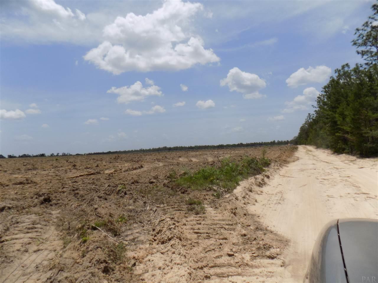 6811 Timber Crest Road Milton, FL 32583 - Photo 10 of 15 Gallery Image 10