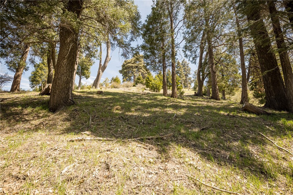 226 Hidden Forest Road Lake Arrowhead, CA 92352 - Photo 12 of 14