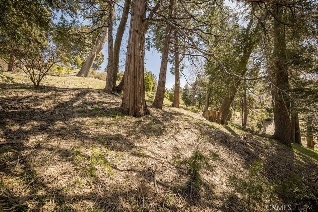 226 Hidden Forest Road Lake Arrowhead, CA 92352 - Photo 13 of 14