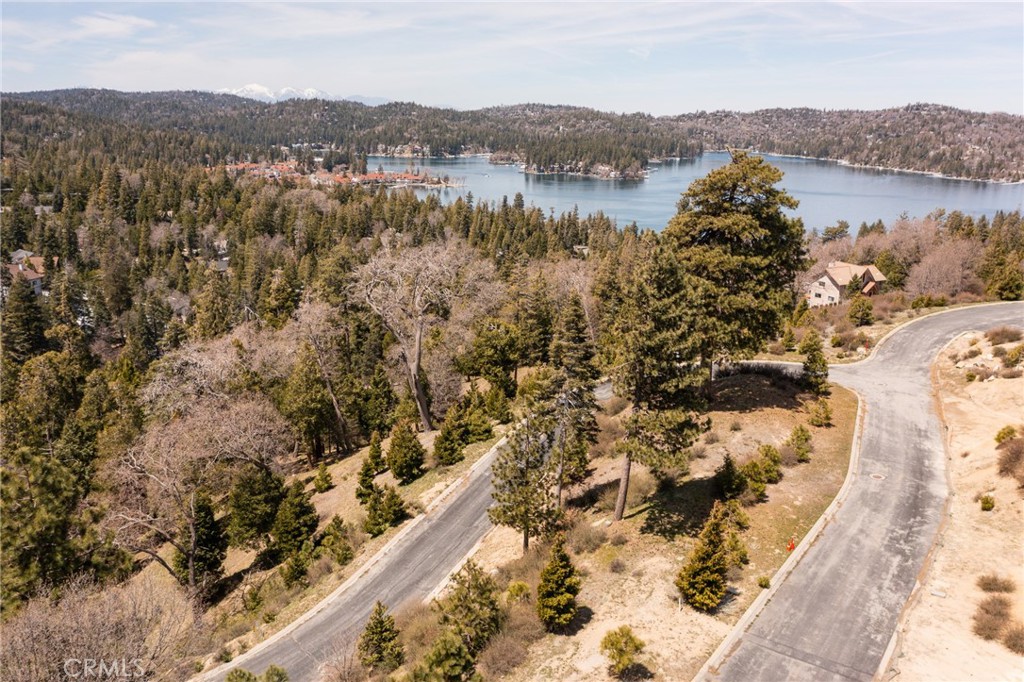 226 Hidden Forest Road Lake Arrowhead, CA 92352 - Photo 2 of 14