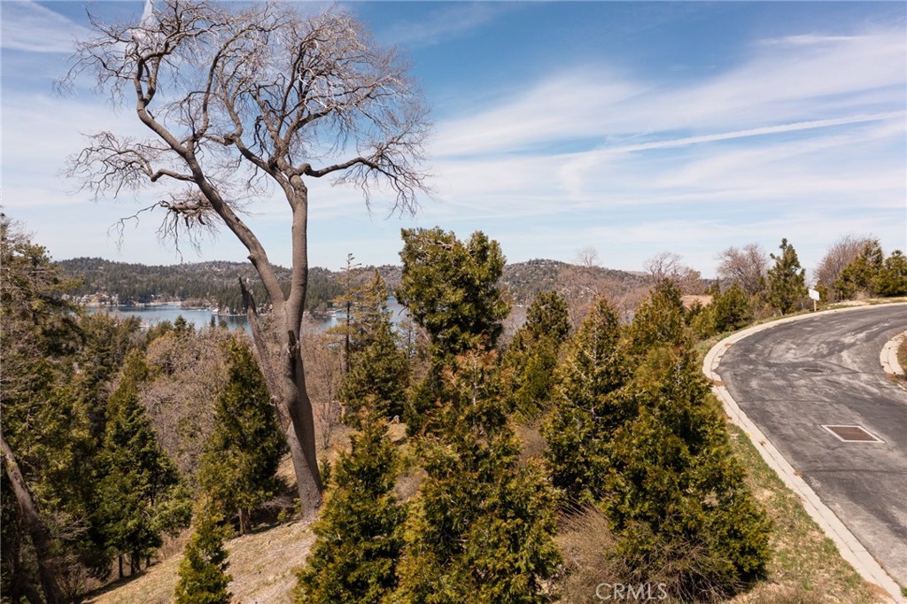 226 Hidden Forest Road Lake Arrowhead, CA 92352 - Photo 4 of 14