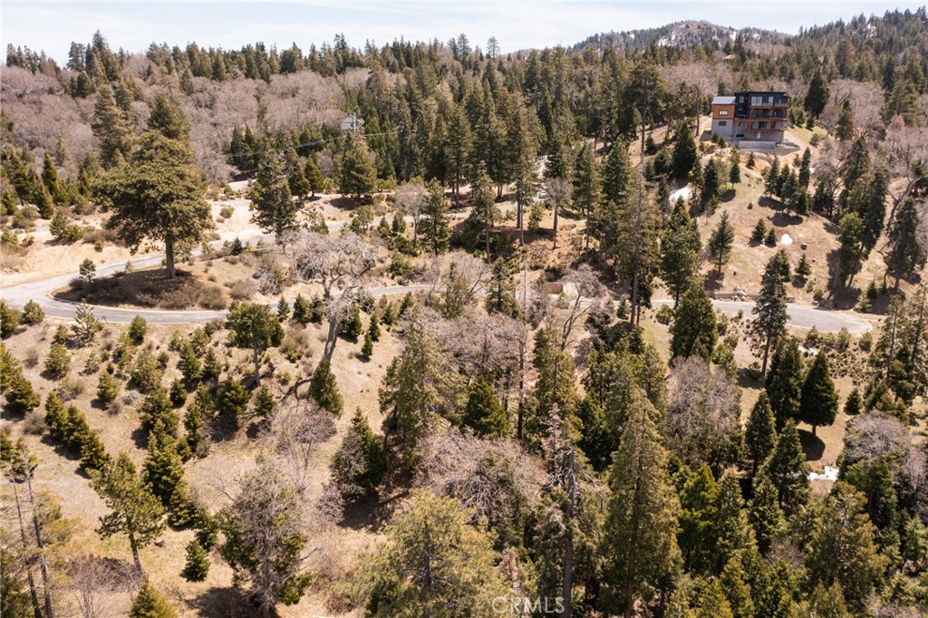 226 Hidden Forest Road Lake Arrowhead, CA 92352 - Photo 9 of 14