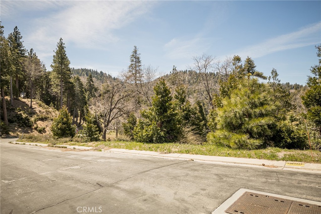 226 Hidden Forest Road Lake Arrowhead, CA 92352 - Photo 10 of 14
