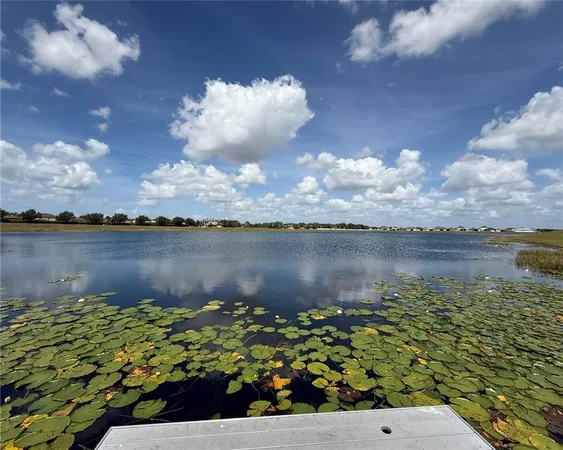 $2,400 | 11412 Freshwater Ridge Drive, Riverview, FL 33569