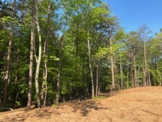 0 Deercrest Road Baldwin, GA 30511 - Photo 1 of 1 Gallery Image 1
