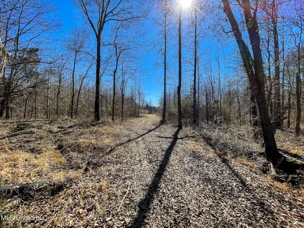 $75,000 | 2 Robinson Springs Road, Flora, MS 39071