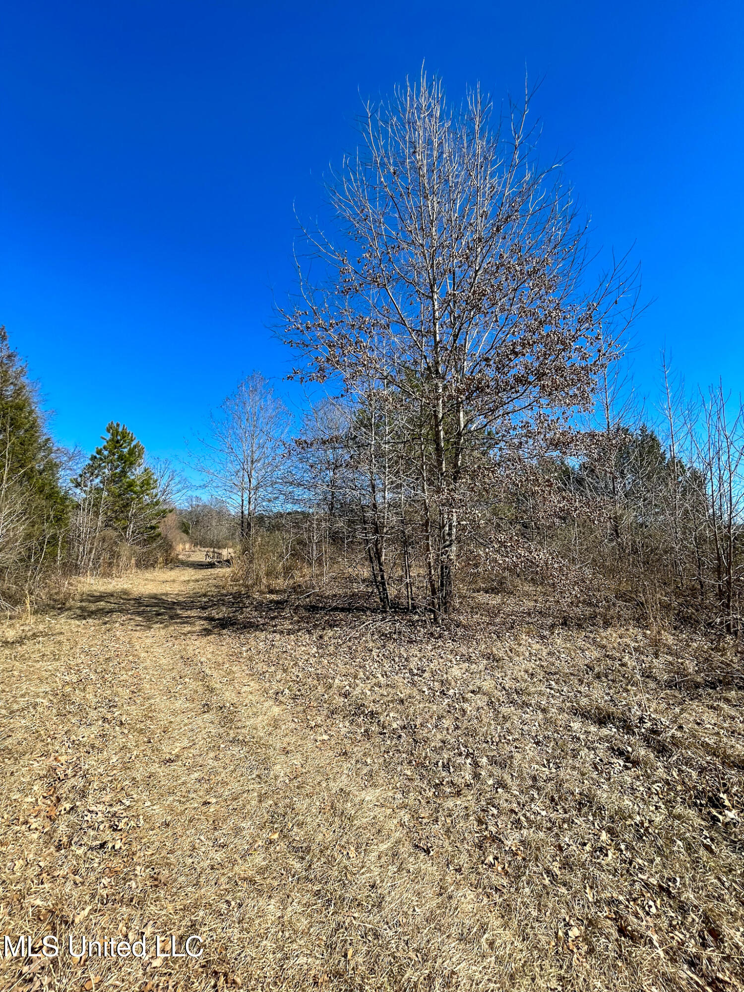 2 Robinson Springs Road Flora, MS 39071 - Photo 11 of 14 IMG_4565