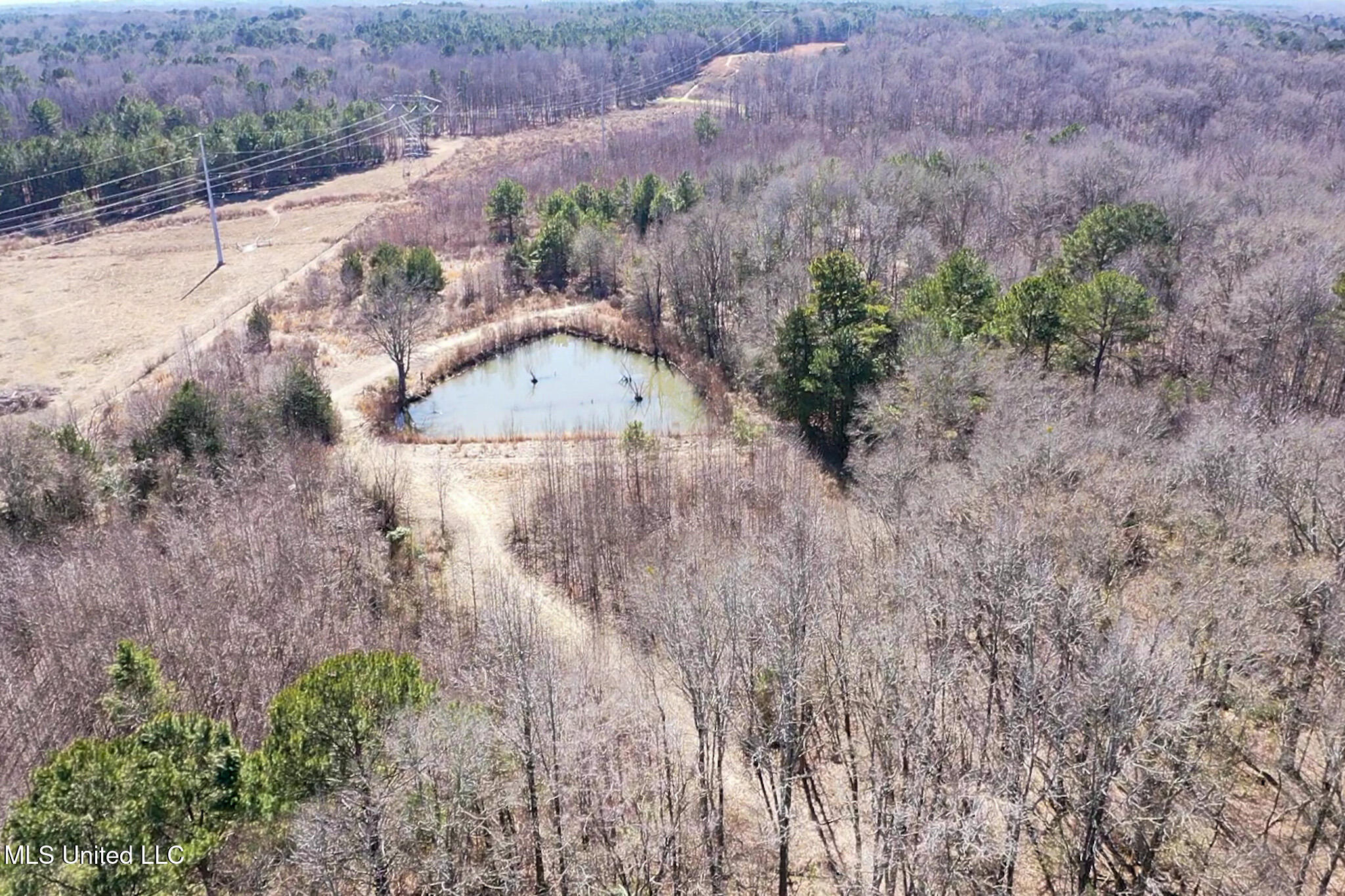 2 Robinson Springs Road Flora, MS 39071 - Photo 13 of 14 IMG_1001