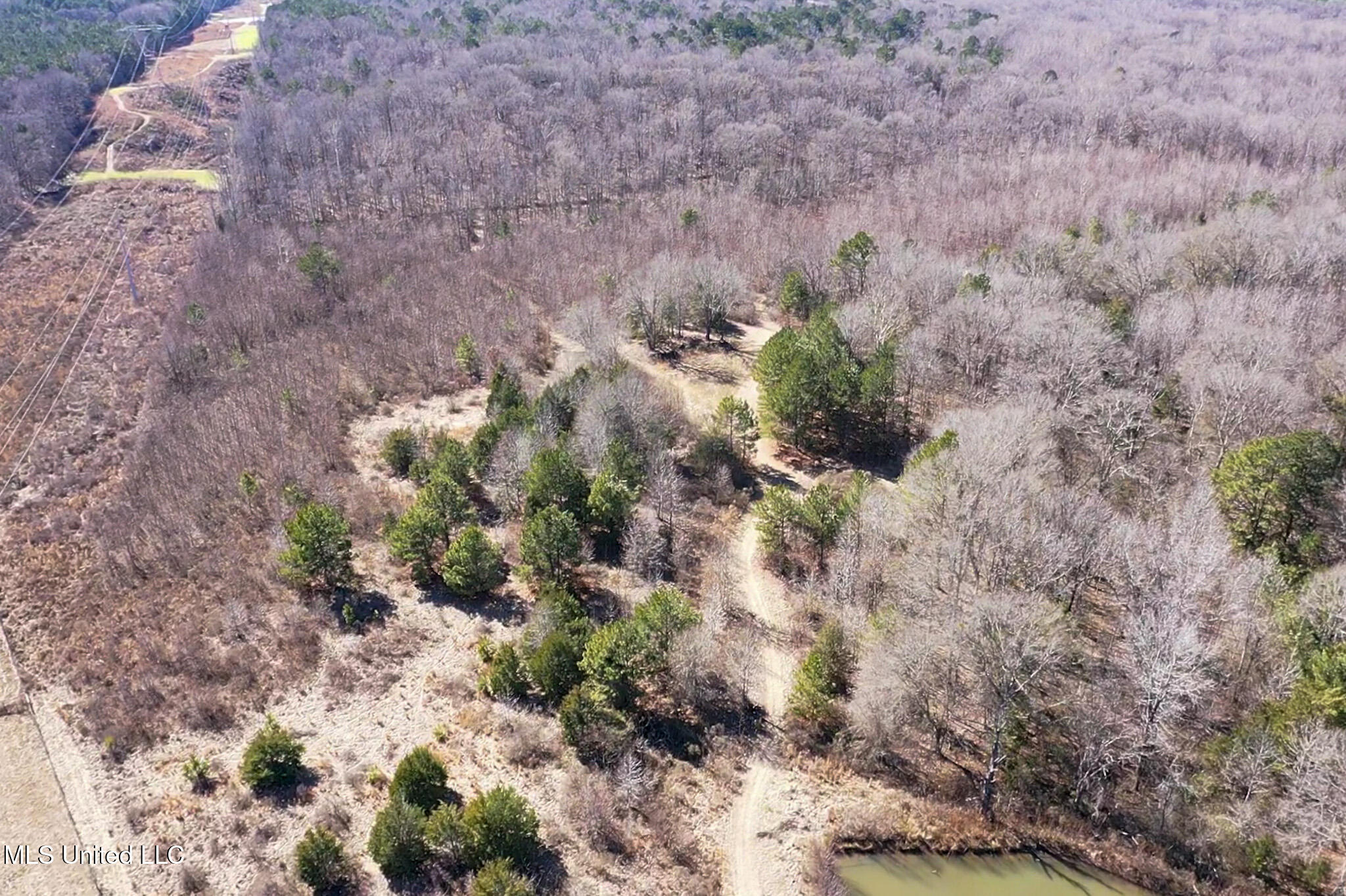 2 Robinson Springs Road Flora, MS 39071 - Photo 14 of 14 IMG_0999