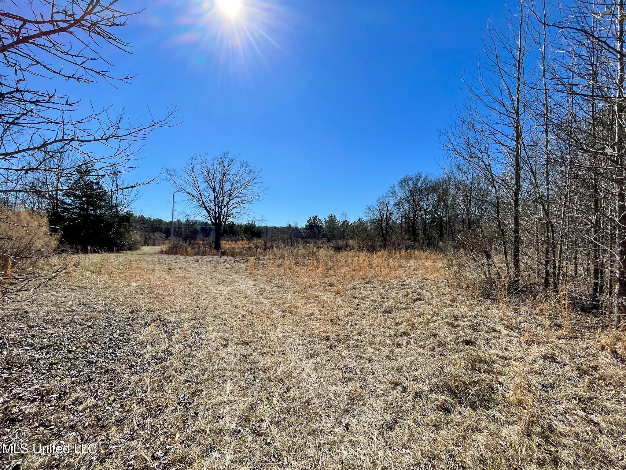 2 Robinson Springs Road Flora, MS 39071 - Photo 2 of 14 IMG_4473