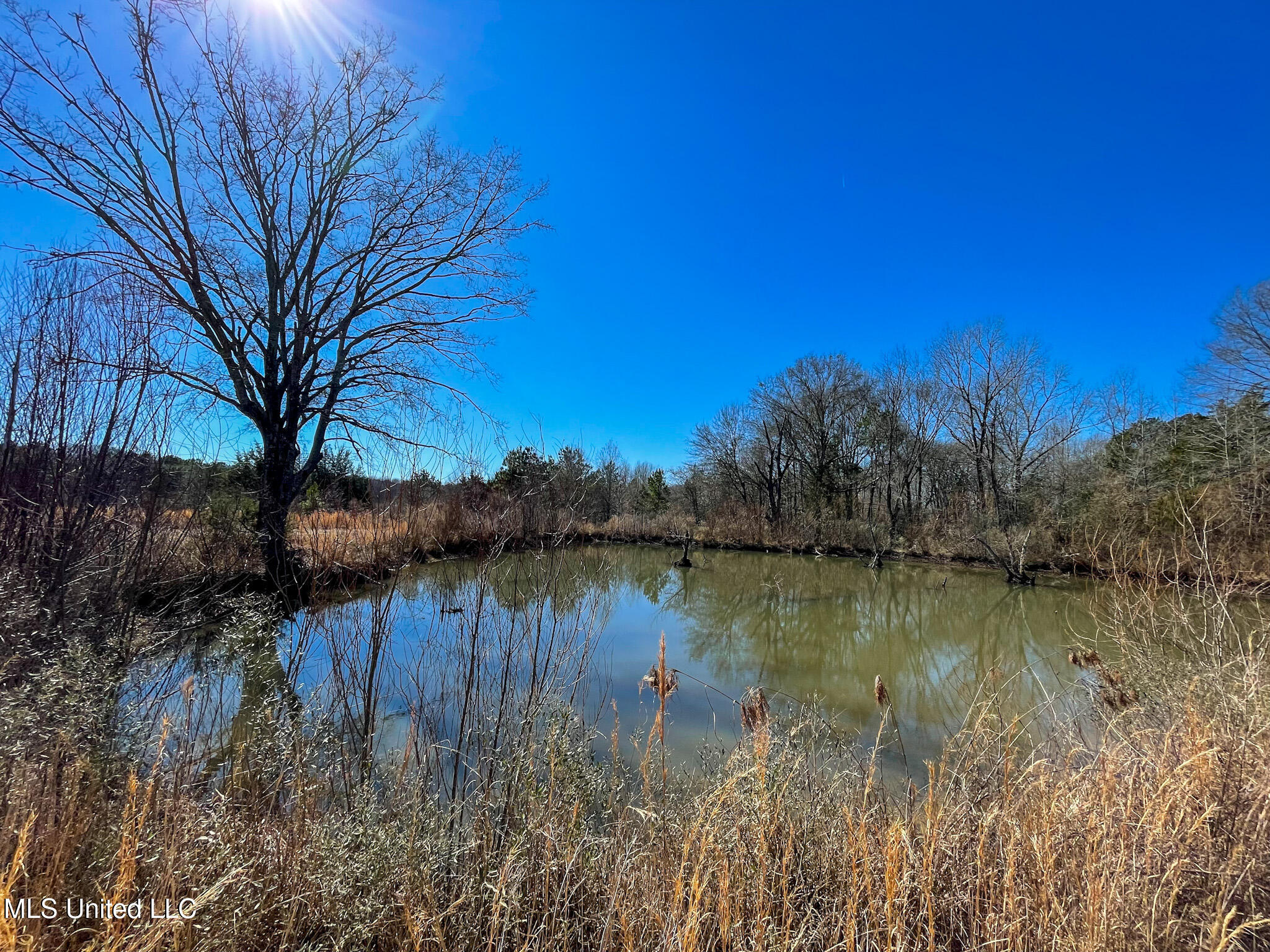 2 Robinson Springs Road Flora, MS 39071 - Photo 3 of 14 IMG_4475
