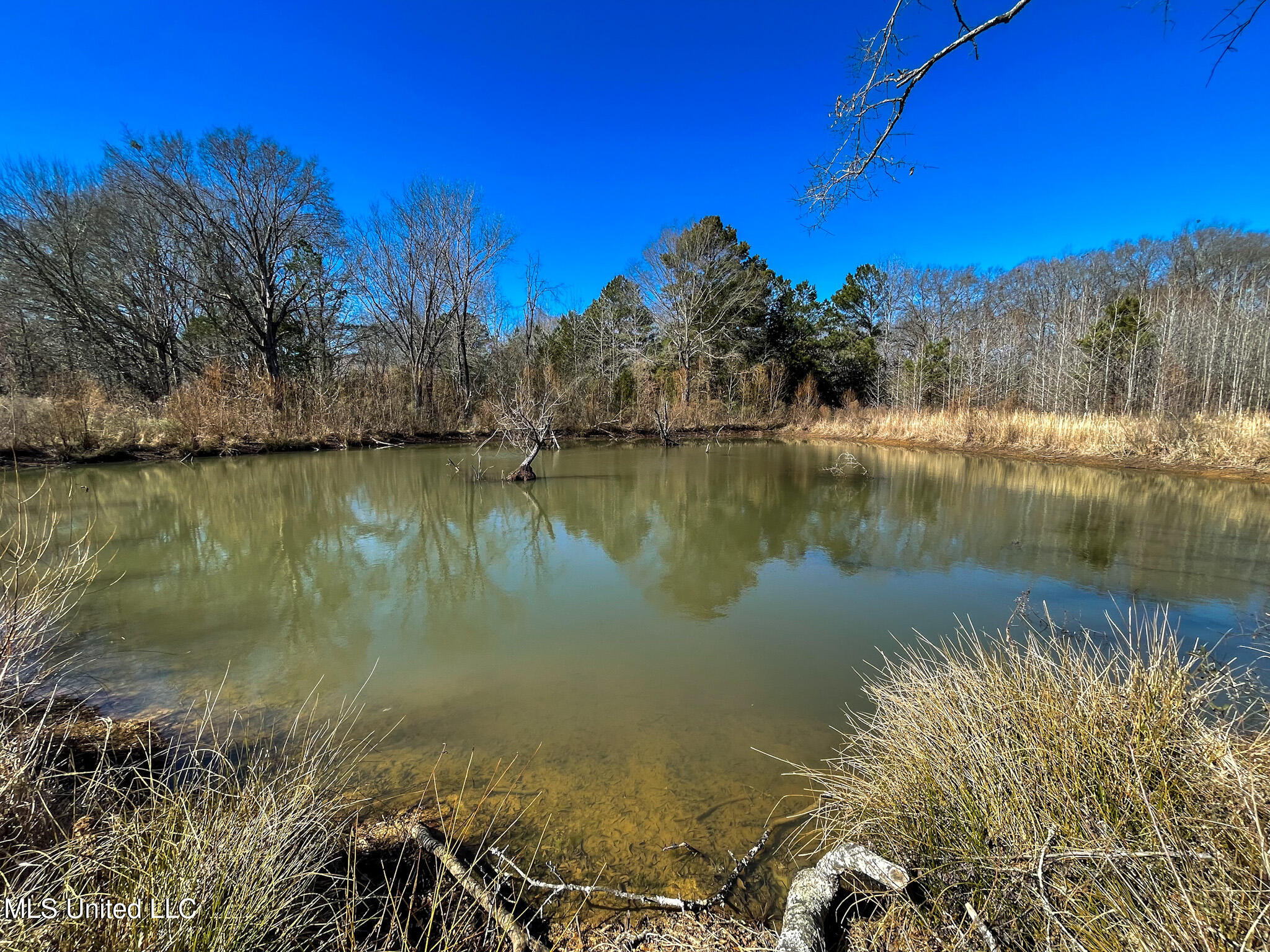 2 Robinson Springs Road Flora, MS 39071 - Photo 4 of 14 IMG_4480