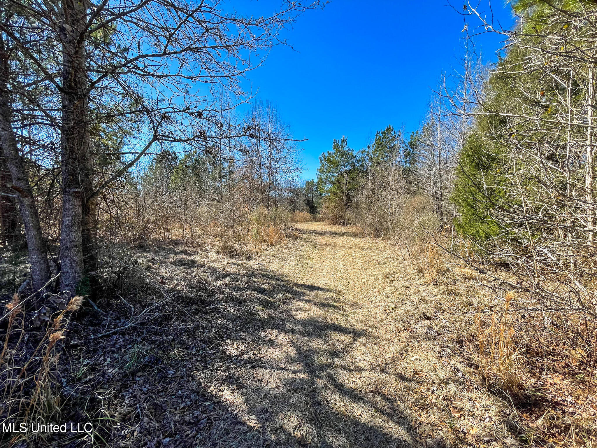 2 Robinson Springs Road Flora, MS 39071 - Photo 5 of 14 IMG_4484