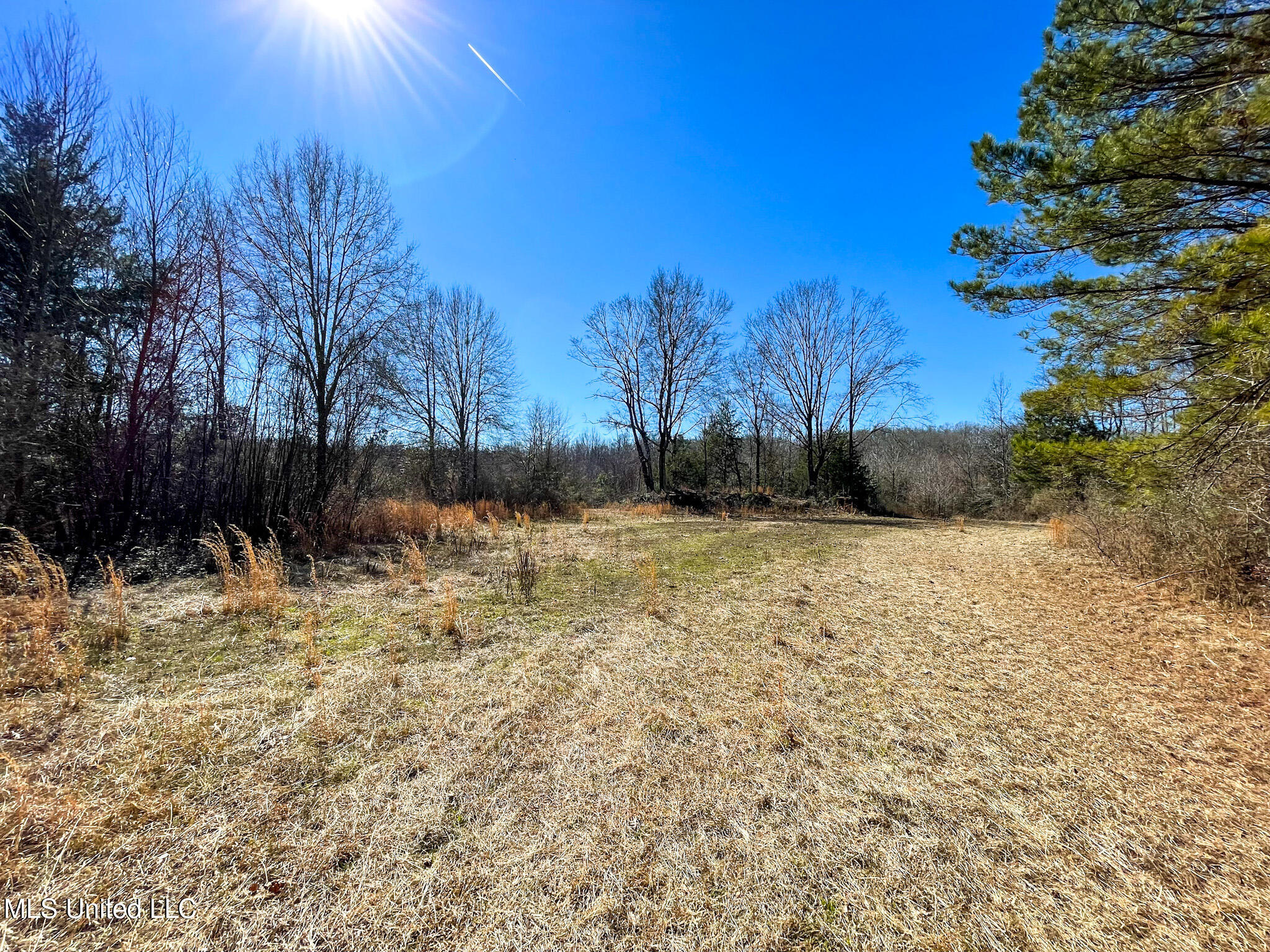2 Robinson Springs Road Flora, MS 39071 - Photo 6 of 14 IMG_4492