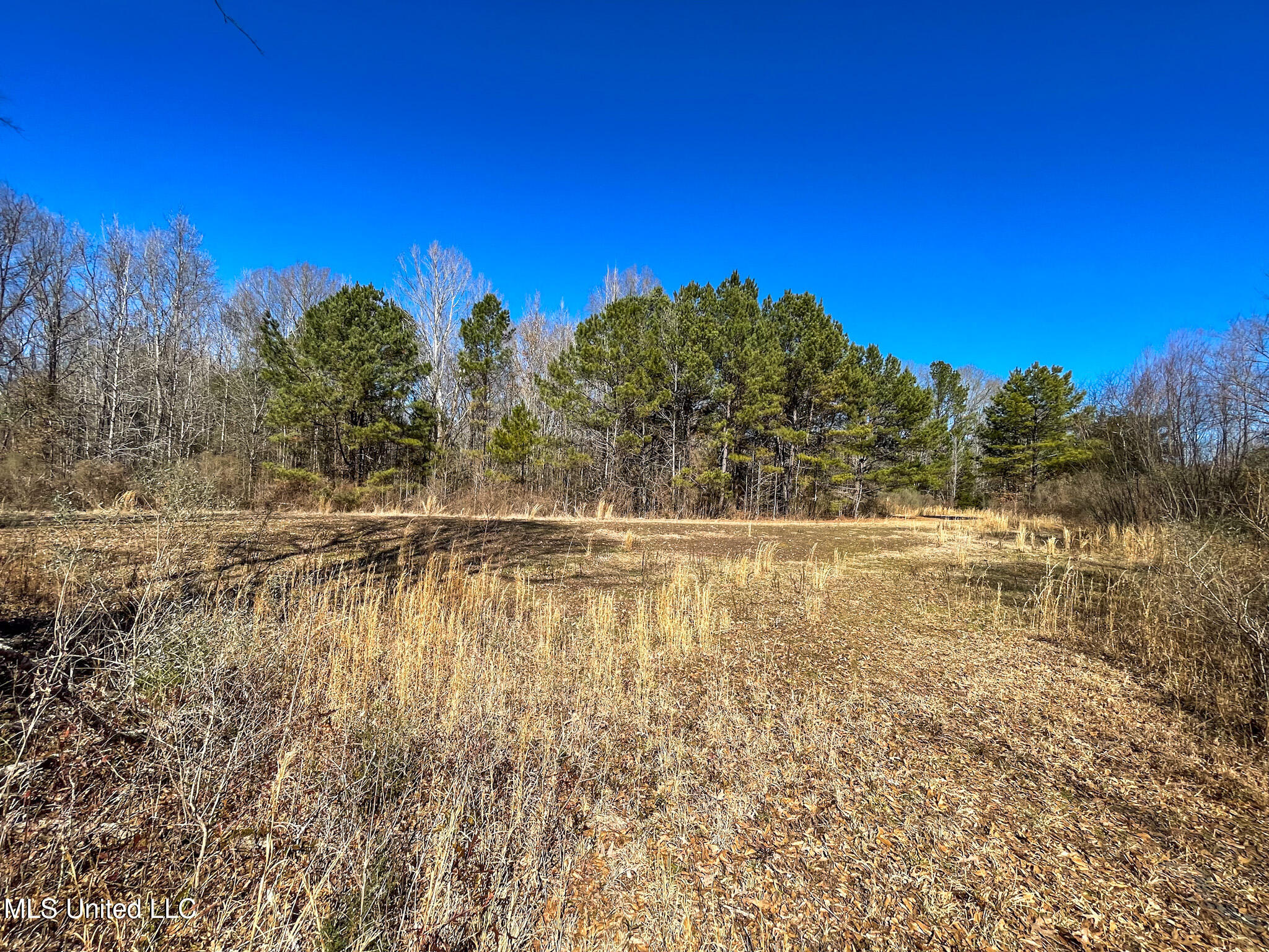 2 Robinson Springs Road Flora, MS 39071 - Photo 7 of 14 IMG_4495