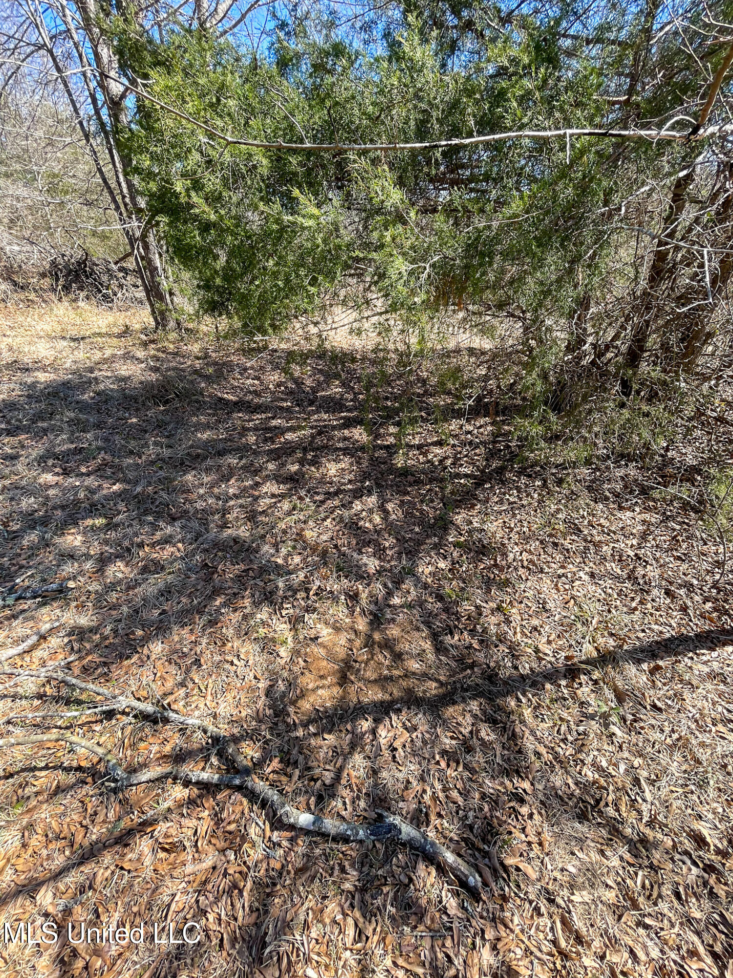 2 Robinson Springs Road Flora, MS 39071 - Photo 9 of 14 IMG_4499