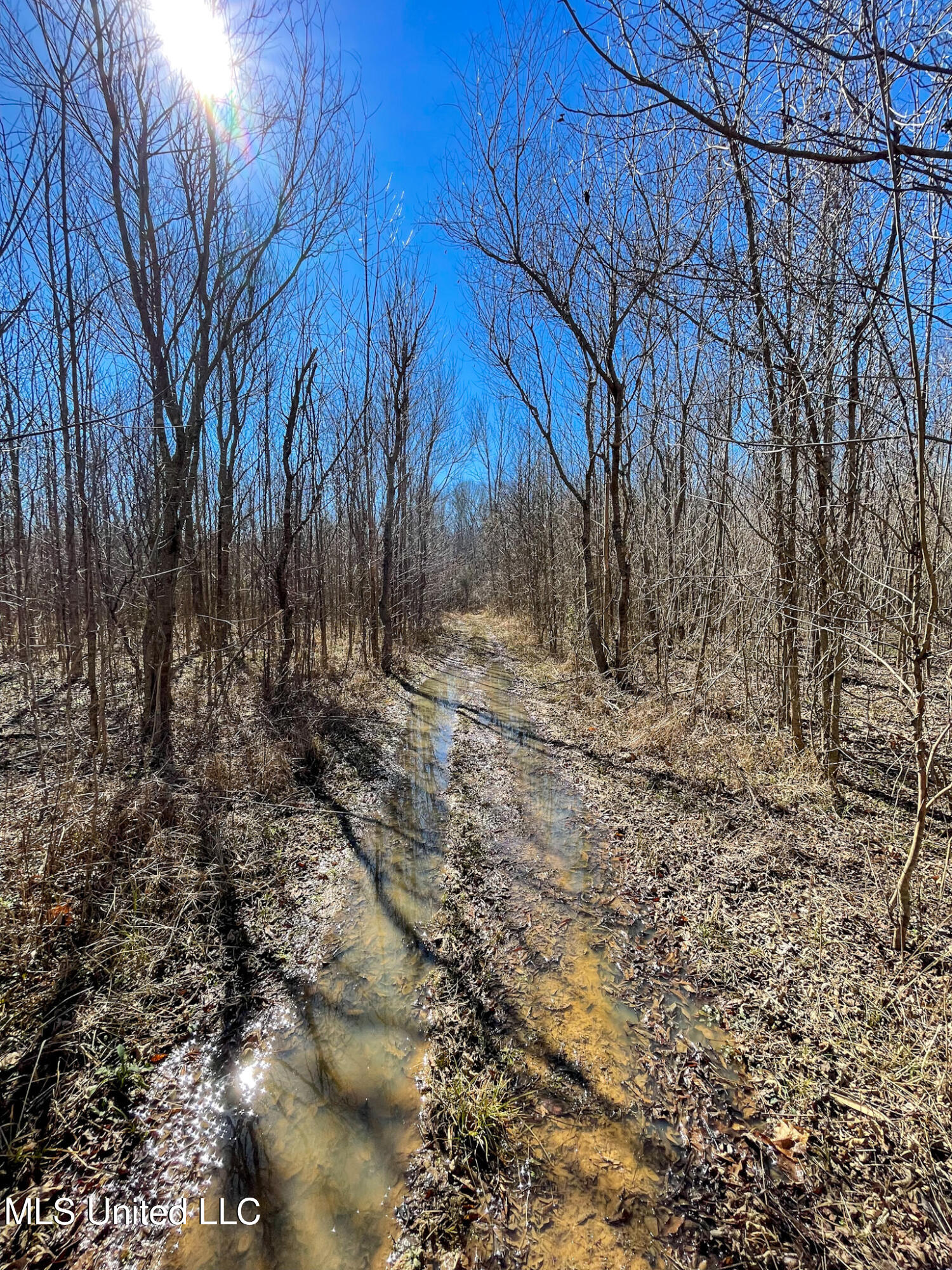 2 Robinson Springs Road Flora, MS 39071 - Photo 10 of 14 IMG_4503