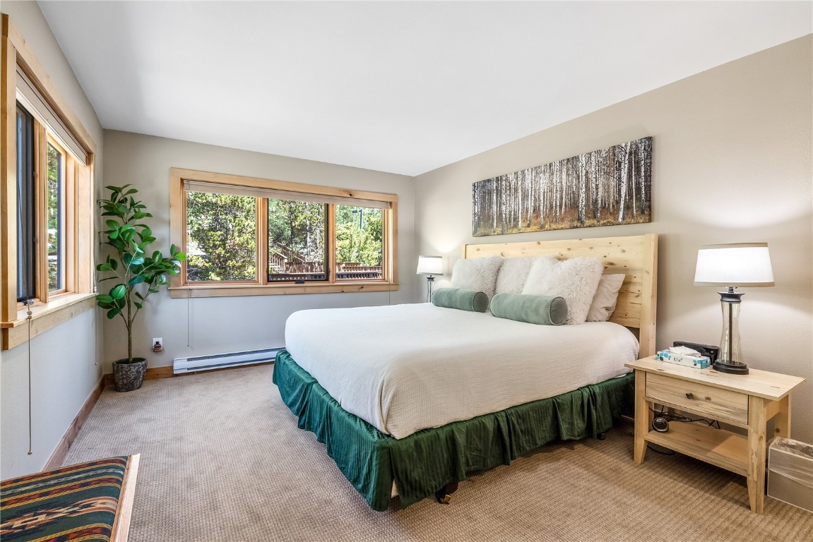180 Tennis Club Road, Unit 1636 Keystone, CO 80435 - Photo 14 of 34 Carpeted bedroom with a baseboard radiator