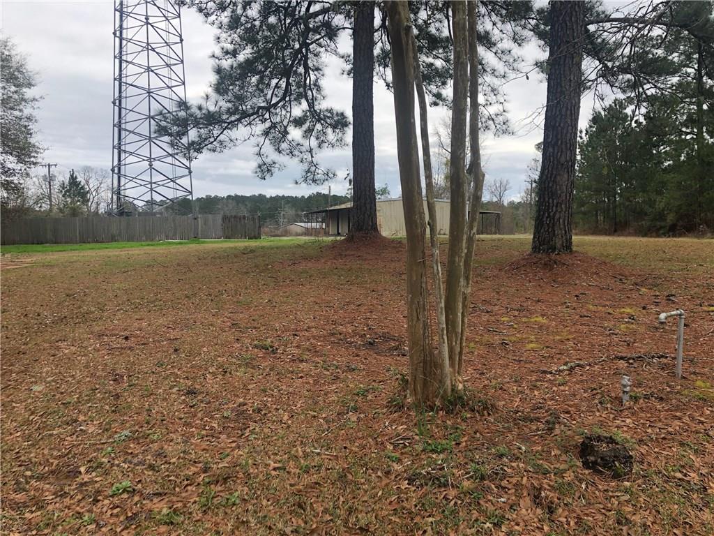 3702 Trinity Church Road Pineville, LA 71360 - Photo 2 of 3 Gallery Image 2