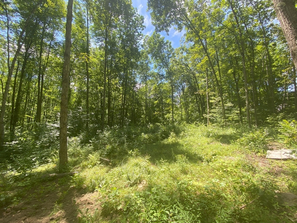 Lot 7 Delargy Road Hardwick, MA 01037 - Photo 8 of 21