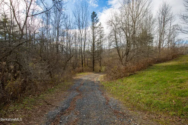 a view of backyard with tree