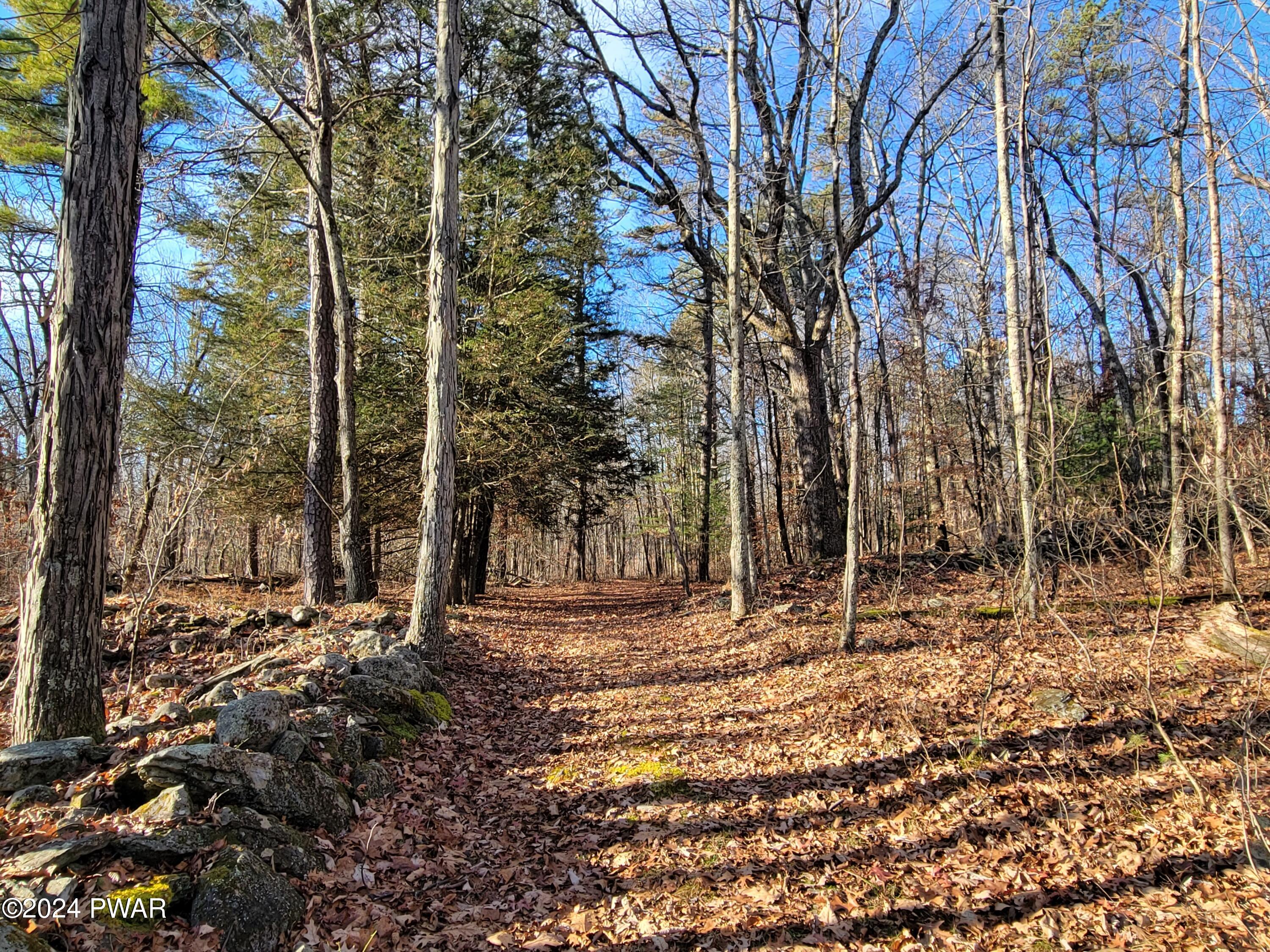 786 Red Rock Road Cresco, PA 18326 - Photo 3 of 5 Trails