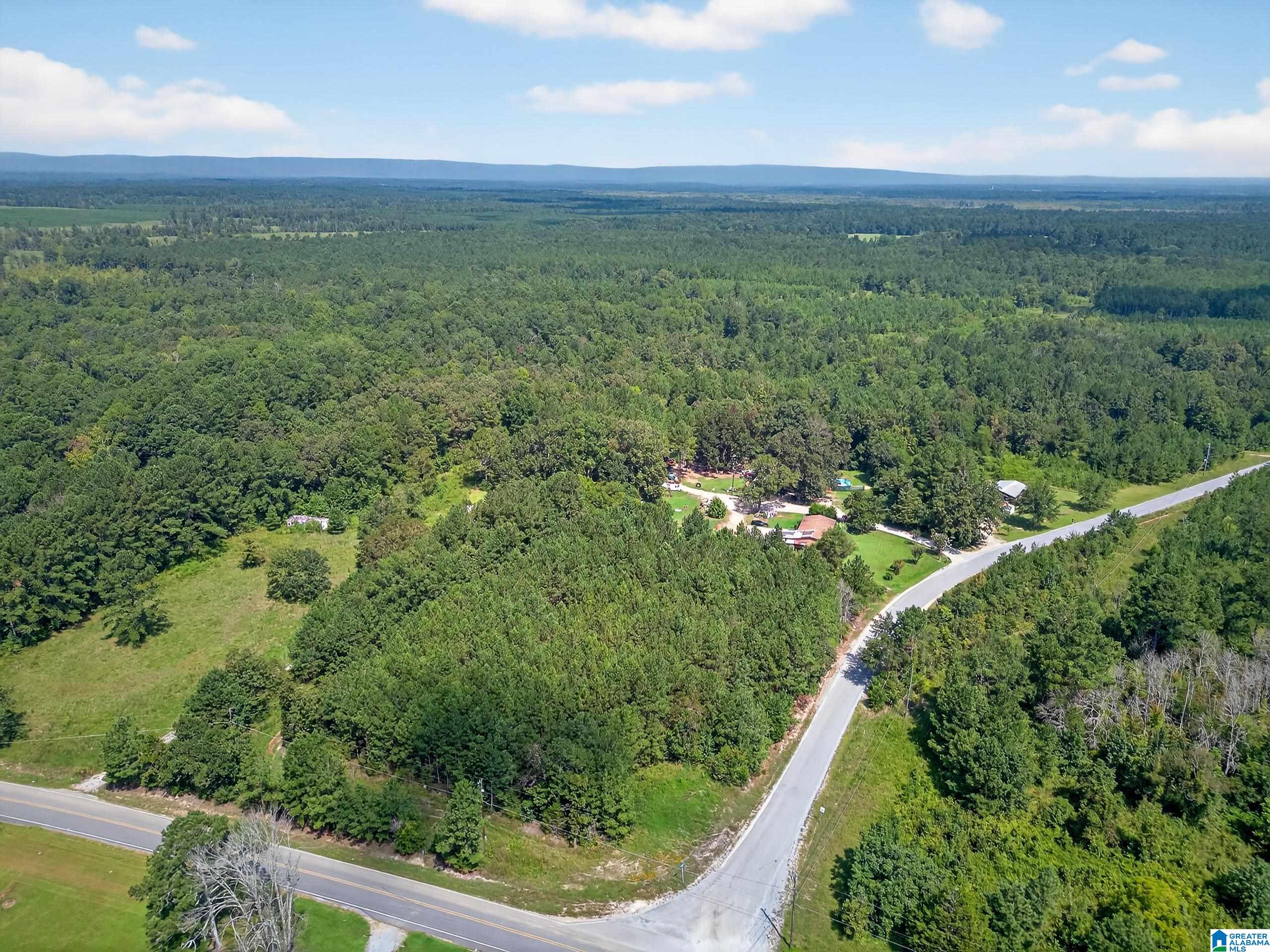 368 Jones Chapel Road Piedmont, AL 36272 - Photo 4 of 10