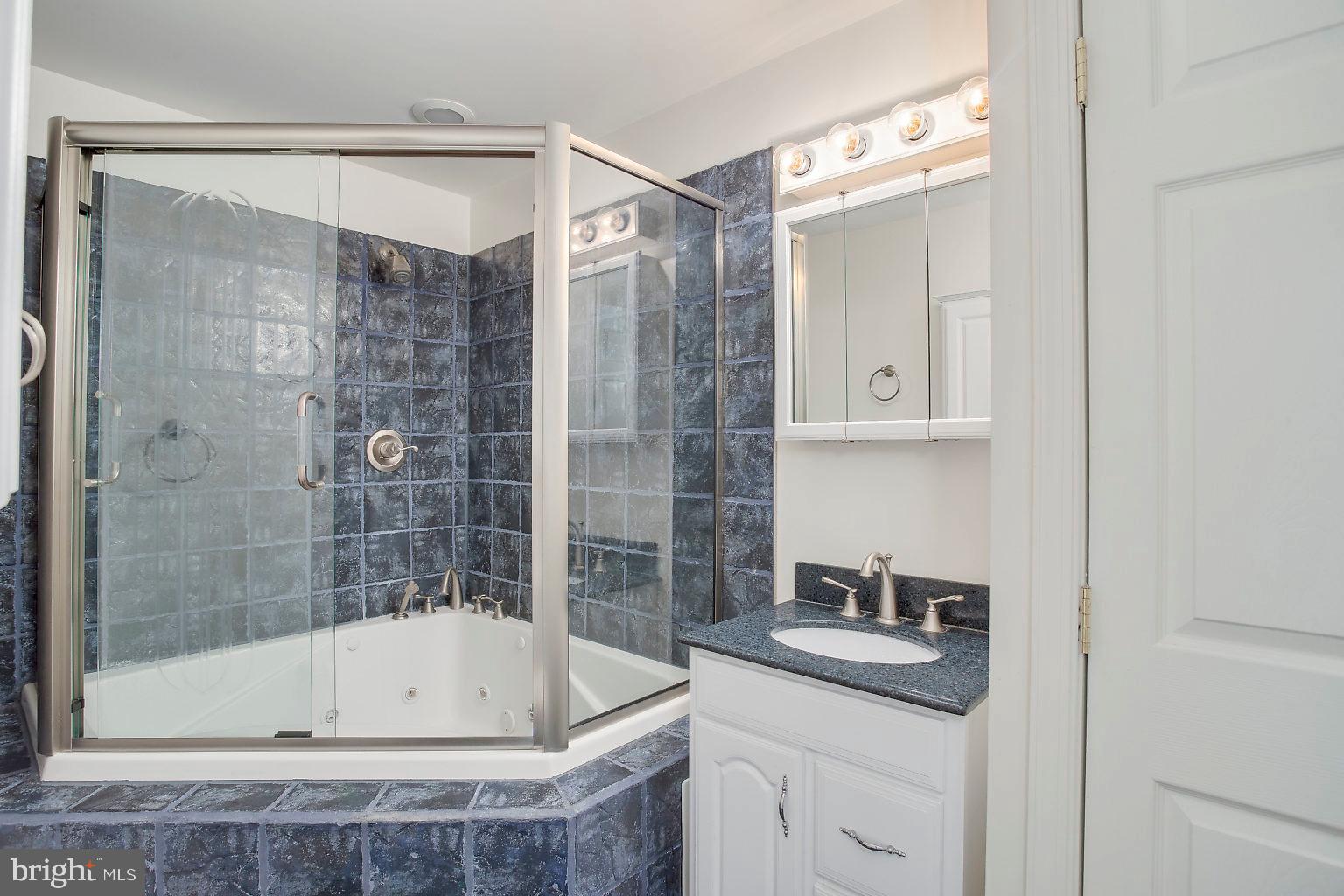 4502 Sandwood Road Baltimore, MD 21219 - Photo 36 of 39 Full bath with jetted tub on lower level 1