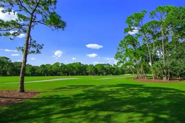 a view of a yard with wooden fence