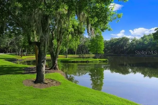 a view of a lake with a yard and large trees