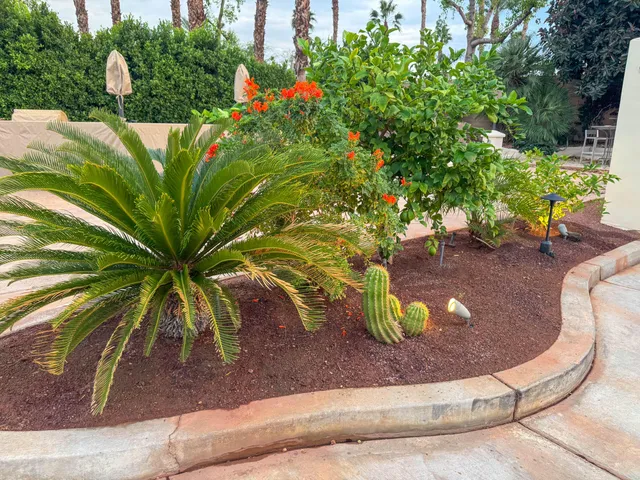 a view of a backyard