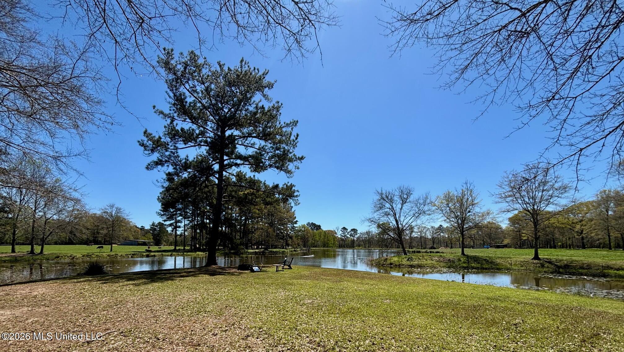 54 Kennedy Road, Unit 1 Tylertown, MS 39667 - Photo 29 of 34 IMG_2974