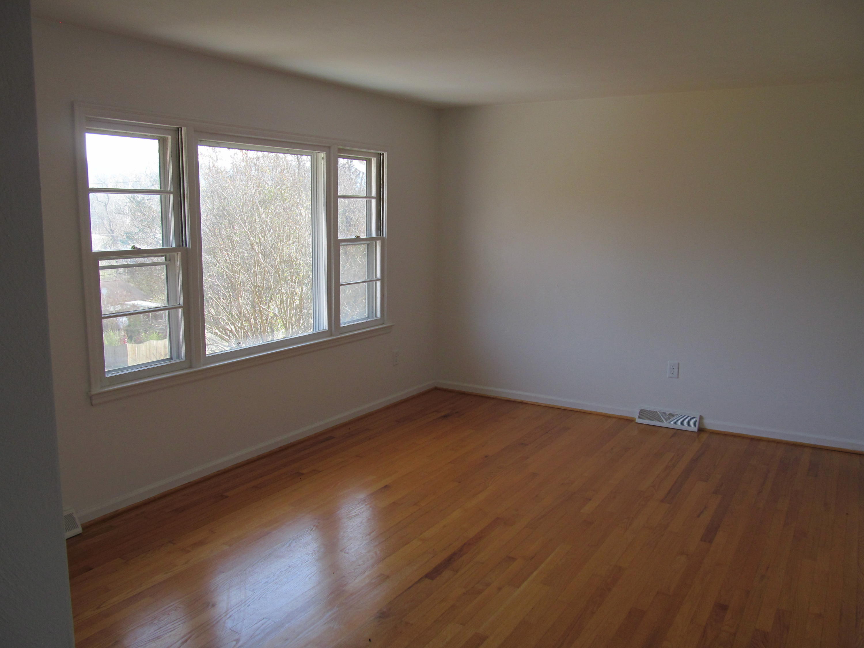 1370 Blue Ridge Springs Road Blue Ridge, VA 24064 - Photo 3 of 20 an empty room with wooden floor and windows