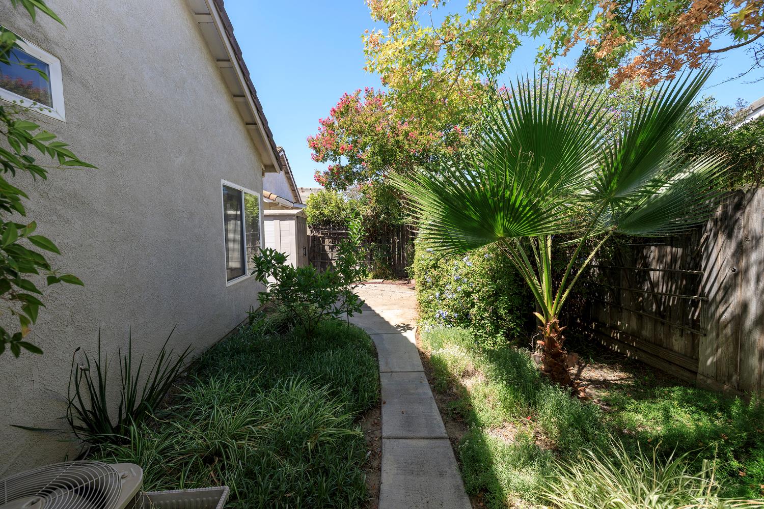 2123 Spring Blossom Lane Turlock, CA 95382 - Photo 29 of 44 a view of a plant in a garden