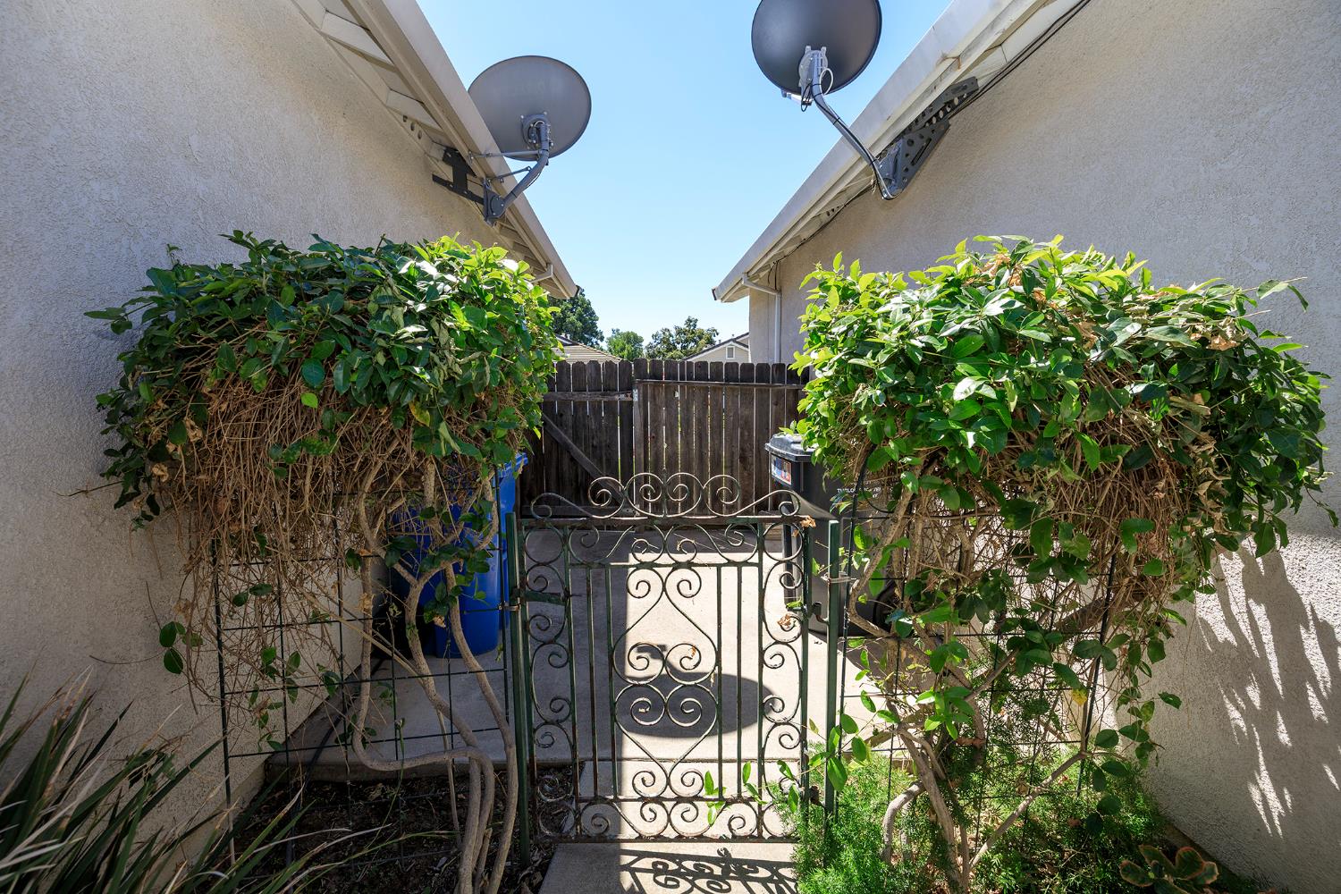 2123 Spring Blossom Lane Turlock, CA 95382 - Photo 32 of 44 a picture of a tree